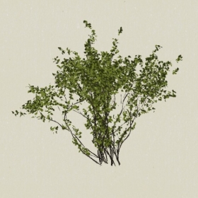 ��ľ-Sketchup��ͼ��ʦEnscape����ģ��2022051181