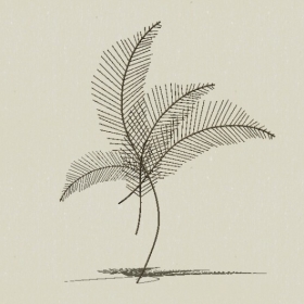 ǽ�ι���-Sketchup��ͼ��ʦEnscape����ģ��2022051114