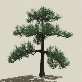 ��Ҷ��ľ-Sketchup��ͼ��ʦEnscape����ģ��2022051155