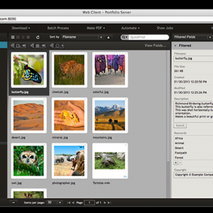 Extensis Portfolio Enterprise for mac 1.6.5 – 数字资产管理软件 最新绿化版