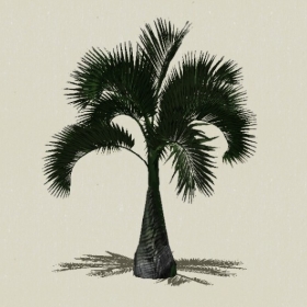 ���ֲ��-Sketchup��ͼ��ʦEnscape����ģ��2022051142