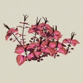 ��-Sketchup��ͼ��ʦEnscape����ģ��20220511110