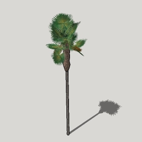 草图大师模型植物简模齐全2022年1278