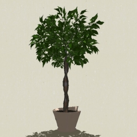 ����ֲ��-Sketchup��ͼ��ʦEnscape����ģ��20220511321