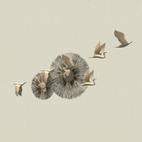 ǽ�ι���-Sketchup��ͼ��ʦEnscape����ģ��20220511103