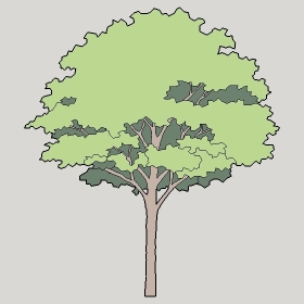 ͼʦģֲģȫ2022162