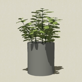 ����ֲ��-Sketchup��ͼ��ʦEnscape����ģ��20220511212