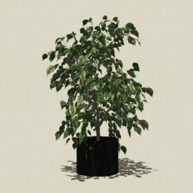 ����ֲ��-Sketchup��ͼ��ʦEnscape����ģ��20220511184