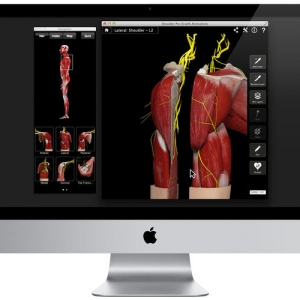 Shoulder Pro III with Animations v3.8 – 肩部动画最新版 绿化