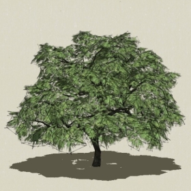 ��ľ-Sketchup��ͼ��ʦEnscape����ģ��20220511130