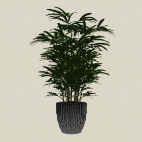 ����ֲ��-Sketchup��ͼ��ʦEnscape����ģ��2022051191