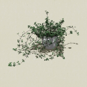 ����ֲ��-Sketchup��ͼ��ʦEnscape����ģ��20220511450