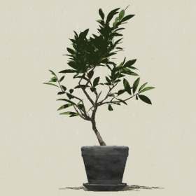 ����ֲ��-Sketchup��ͼ��ʦEnscape����ģ��2022051187