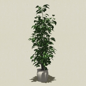 ����ֲ��-Sketchup��ͼ��ʦEnscape����ģ��20220511267