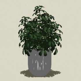 ����ֲ��-Sketchup��ͼ��ʦEnscape����ģ��2022051139