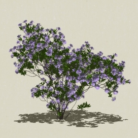 ��ľ��ľ-Sketchup��ͼ��ʦEnscape����ģ��2022051141