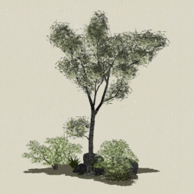 ��ľ-Sketchup��ͼ��ʦEnscape����ģ��20220511162