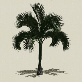 ���ֲ��-Sketchup��ͼ��ʦEnscape����ģ��2022051139