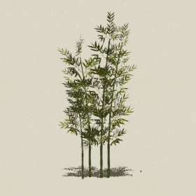 ����-Sketchup��ͼ��ʦEnscape����ģ��2022051116