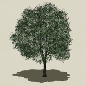 ��ľ-Sketchup��ͼ��ʦEnscape����ģ��20220511149