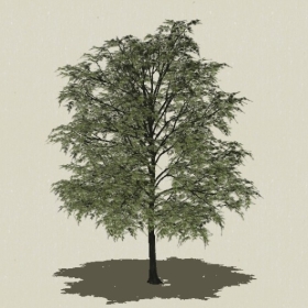 ��ľ-Sketchup��ͼ��ʦEnscape����ģ��20220511159