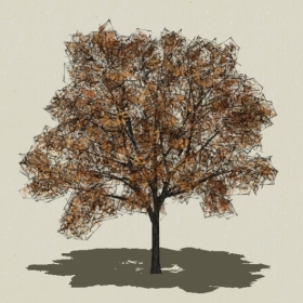 ��ľ-Sketchup��ͼ��ʦEnscape����ģ��20220511136