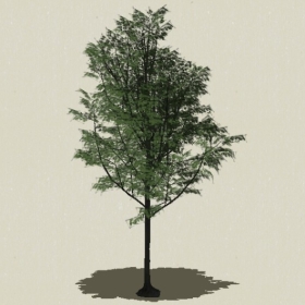 ��ľ-Sketchup��ͼ��ʦEnscape����ģ��2022051136