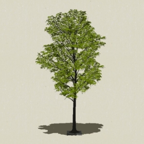 ��ľ-Sketchup��ͼ��ʦEnscape����ģ��202205115