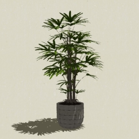 ����ֲ��-Sketchup��ͼ��ʦEnscape����ģ��20220511215