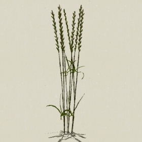 ��-Sketchup��ͼ��ʦEnscape����ģ��2022051167