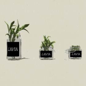 ����ֲ��-Sketchup��ͼ��ʦEnscape����ģ��2022051180