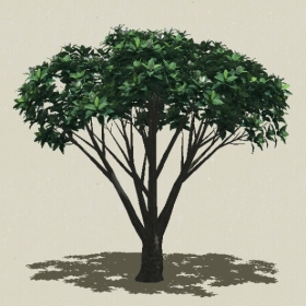 ��ľ��ľ-Sketchup��ͼ��ʦEnscape����ģ��2022051118