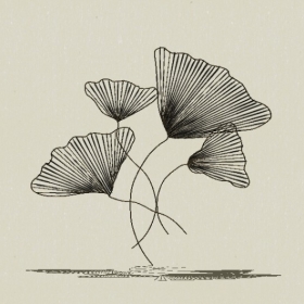 ǽ�ι���-Sketchup��ͼ��ʦEnscape����ģ��2022051118