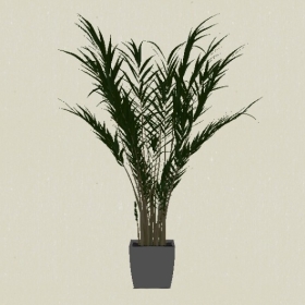 ����ֲ��-Sketchup��ͼ��ʦEnscape����ģ��20220511456