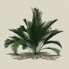 ���ֲ��-Sketchup��ͼ��ʦEnscape����ģ��202205117