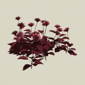 ����-Sketchup��ͼ��ʦEnscape����ģ��2022051194