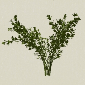 ��ľ-Sketchup��ͼ��ʦEnscape����ģ��20220511120