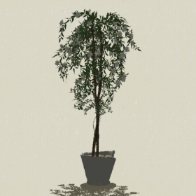 ����ֲ��-Sketchup��ͼ��ʦEnscape����ģ��20220511324