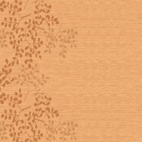 ̺ר301