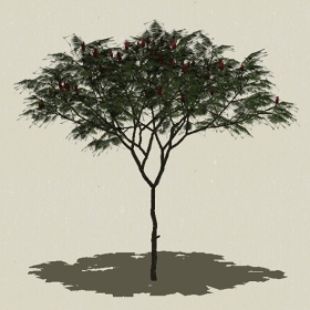 ��ľ��ľ-Sketchup��ͼ��ʦEnscape����ģ��2022051130