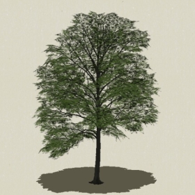 ��ľ-Sketchup��ͼ��ʦEnscape����ģ��2022051117