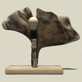 ̨��-Sketchup��ͼ��ʦEnscape����ģ��202205119