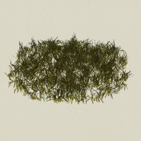 ��-Sketchup��ͼ��ʦEnscape����ģ��2022051142