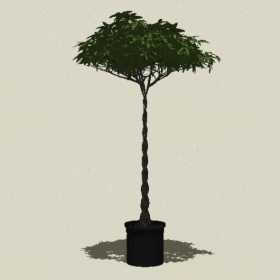 �辰ֲ��-Sketchup��ͼ��ʦEnscape����ģ��2022051119