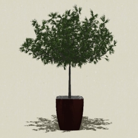 ����ֲ��-Sketchup��ͼ��ʦEnscape����ģ��20220511241