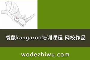 04-袋鼠kangaroo培训课程  网校作品，免费下载