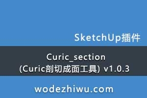 Curic_section (Curicг湤) v1.0.3 