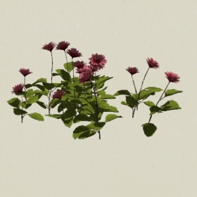 ����-Sketchup��ͼ��ʦEnscape����ģ��2022051192