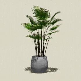 ����ֲ��-Sketchup��ͼ��ʦEnscape����ģ��20220511441