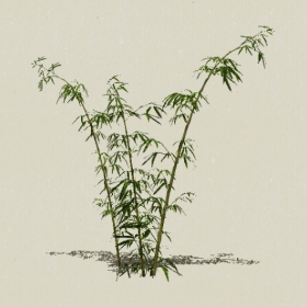 ����-Sketchup��ͼ��ʦEnscape����ģ��2022051124